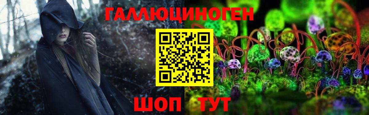 Дагестанские Огни  Галлюциногенные грибы GOLDEN TEACHER  хочу наркоту  Вход с VPN  Галлюциногенные грибы Psilocybine cubensis 